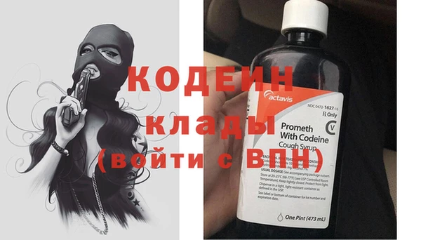 крисы Горняк