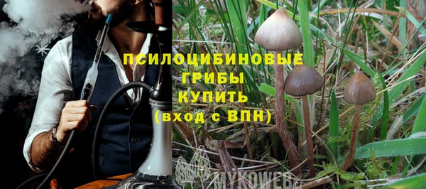 таблы Горнозаводск