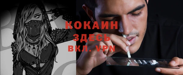 крисы Горняк