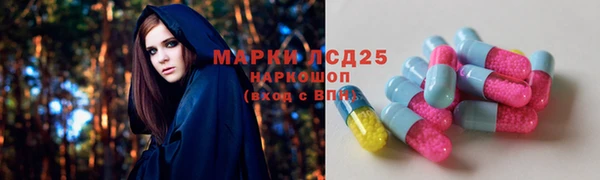 крисы Горняк