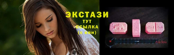 крисы Горняк