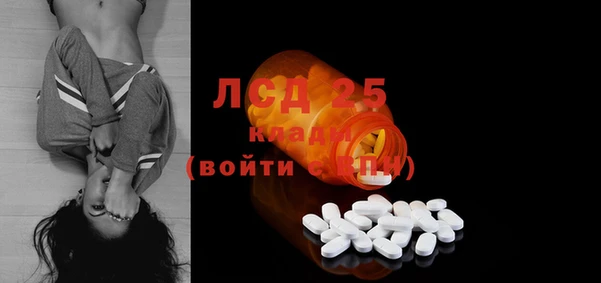 крисы Горняк