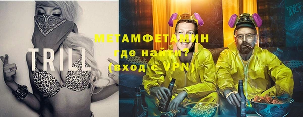 крисы Горняк