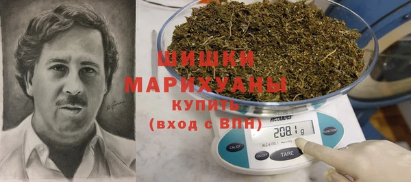 крисы Горняк