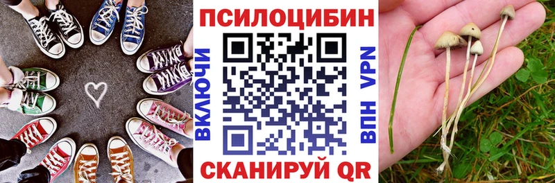 сколько стоит  KRAKEN рабочий сайт  Галлюциногенные грибы прущие грибы  Катайск 